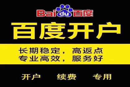 百度SEM优化案例：提升品牌知名度